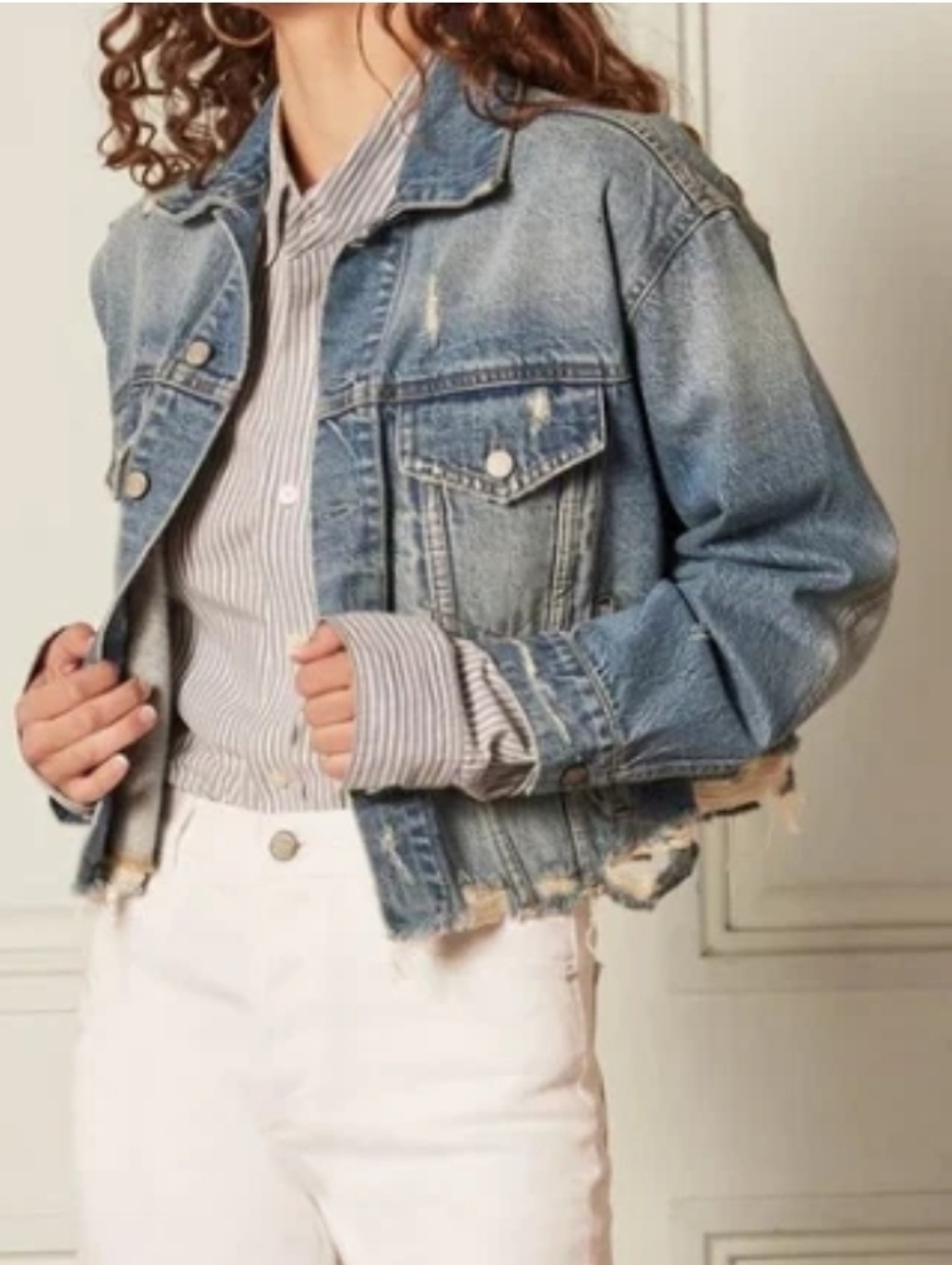 Boyish Harvey Women's Small Cropped Distressed Jean Denim Jacket